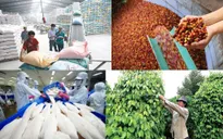 Nông nghiệp về đích sớm