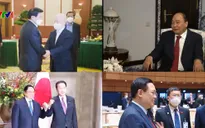 Đối ngoại Đảng: Trụ cột của nền ngoại giao toàn diện