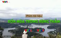 PTL Bốn mùa trong rừng thẳm: Chuyện ông lão 80 tuổi yêu rừng bằng cả trái tim