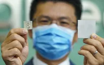 Vật liệu thép không gỉ giúp ngăn chặn sự lây lan của virus SARS-CoV-2