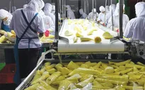 Nông sản, thực phẩm chế biến Việt Nam liên tục "ghi dấu" trên bản đồ xuất khẩu