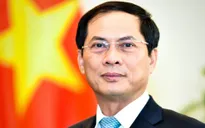 Ngành Ngoại giao - Lực lượng chủ lực và xung kích trên mặt trận đối ngoại
