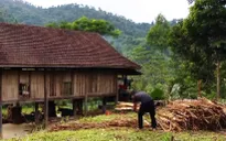 Nỗi buồn lao động trẻ vùng khó khăn