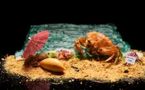 Những trải nghiệm thú vị không thể bỏ qua tại Singapore