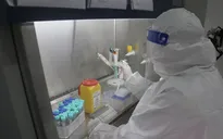 Cả nước ghi nhận 31 ca mắc COVID-19 nhiễm biến chủng Omicron