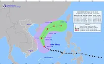 Bão số 9 di chuyển theo hướng Bắc Tây Bắc, cách Quảng Nam - Bình Định khoảng 230 km