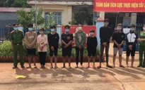 Triệt phá băng cướp "nhí" gây ra nhiều vụ cướp táo tợn trong đêm