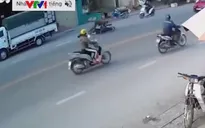 Cảnh báo tai nạn do vật nuôi băng qua đường bất ngờ