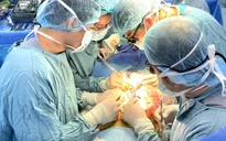 Bệnh viện Nhi đồng 2 thực hiện thành công ca ghép thận thứ 20 cho trẻ