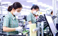 Doanh nghiệp FDI chiếm gần 70% giá trị xuất nhập khẩu