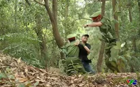 Phố trong làng - Tập 29: Đông bị đâm trọng thương khi đỡ một nhát dao cho Nam