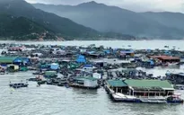 Bão số 9 làm hỏng hàng trăm bè nuôi tôm hùm ở Bình Hưng
