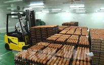 Bộ Công Thương công bố hạn ngạch thuế quan nhập khẩu muối, trứng gia cầm năm 2022