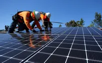Châu Âu trợ cấp cho doanh nghiệp chuyển đổi xanh