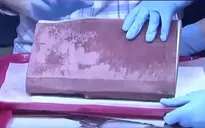 Phát hiện hộp thời gian từ cuối thế kỷ 19