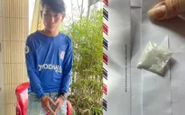 Cần Thơ: Triệt phá nhiều vụ mua bán, vận chuyển, sử dụng ma túy