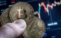 Chiếc ví bí ẩn chứa 321 Bitcoin “sống lại” sau 8 năm “ngủ đông”