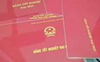 Bằng giả - nỗi đau thật