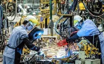 Kinh tế Việt Nam 2021 - Điểm sáng của khu vực