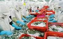 Xuất khẩu thủy sản tiến sát mốc 10 tỷ USD