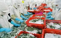 Xuất khẩu nông sản hoàn thành sớm một số chỉ tiêu