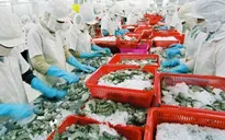 Thêm 23 doanh nghiệp thủy sản được xuất khẩu vào Trung Quốc
