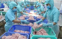 Xuất khẩu ngành nông nghiệp lập kỷ lục