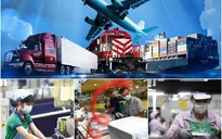 GDP Việt Nam năm 2021 tăng 2,58%