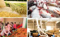Xuất khẩu nông sản vượt mục tiêu Chính phủ giao