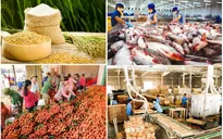 Xuất, nhập khẩu nông, lâm, thủy sản vượt kỷ lục