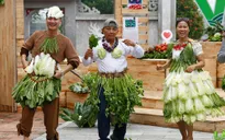 Làng vui và hành trình đến với những ngôi làng Việt