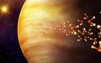 Có thể tồn tại sự sống trên Sao Kim