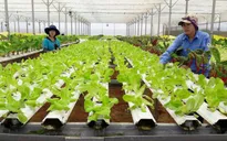 Gỡ vướng trong cấp phép, kiểm tra chất lượng lĩnh vực nông nghiệp
