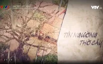 "Giải mã cuộc sống": Câu chuyện phía sau tín ngưỡng thờ cây của người Việt Nam