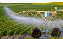 Khó khăn trong việc tiếp cận vốn đầu tư nông nghiệp công nghệ cao