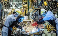 Diễn đàn Kinh tế Việt Nam 2021: Thúc đẩy phục hồi, phát triển bền vững trong đại dịch