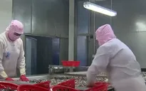Nỗ lực giải quyết việc làm cho lao động hồi hương