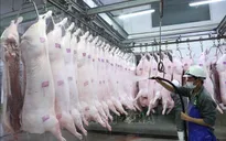 Trung Quốc là thị trường nhập khẩu thịt lớn nhất của Việt Nam