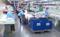 Sản xuất kinh doanh ở TP Hồ Chí Minh dần khởi sắc
