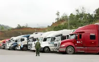 Cần giải pháp dài hạn cho thương mại cửa khẩu