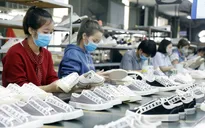 Dự kiến xuất khẩu ngành da giày tăng trưởng 5%