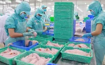 Xuất khẩu nông sản hướng tới 47 tỷ USD