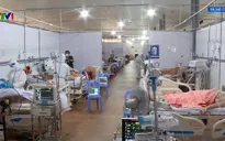 TP Hồ Chí Minh cần nhiều biện pháp giảm F0 tử vong