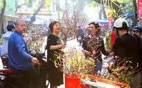 Hà Nội: Bảo đảm mọi người, mọi nhà đón Tết vui tươi, an toàn
