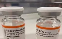 Thuốc Sotrovimab có khả năng chống lại Omicron