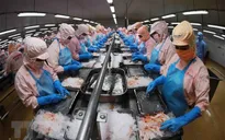 Năm 2021: Xuất khẩu thủy sản dự kiến đạt hơn 8,7 tỷ USD