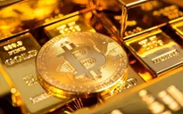 Twitter của Elon Musk khiến giá Bitcoin tăng đột biến