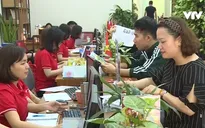 Doanh nghiệp lao đao vì du khách yêu cầu hủy tour Tết