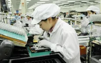 Việt Nam trở thành quốc gia có lao động nước ngoài nhiều nhất ở Nhật Bản