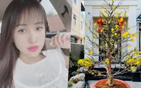 Loạt hoa khoe sắc trong biệt thự tiền tỷ của Thanh Vân Hugo